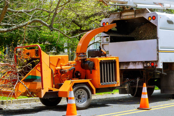 Best Seasonal Cleanup  in Enlow, PA